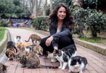 Zehra İpşiroğlu: Kediler ve İnsanlar