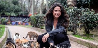 Zehra İpşiroğlu: Kediler ve İnsanlar