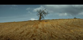 Nuri Bilge Ceylan – Ahlat Ağacı (Film)